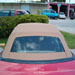 images/Ford - Mustang - 8.jpg